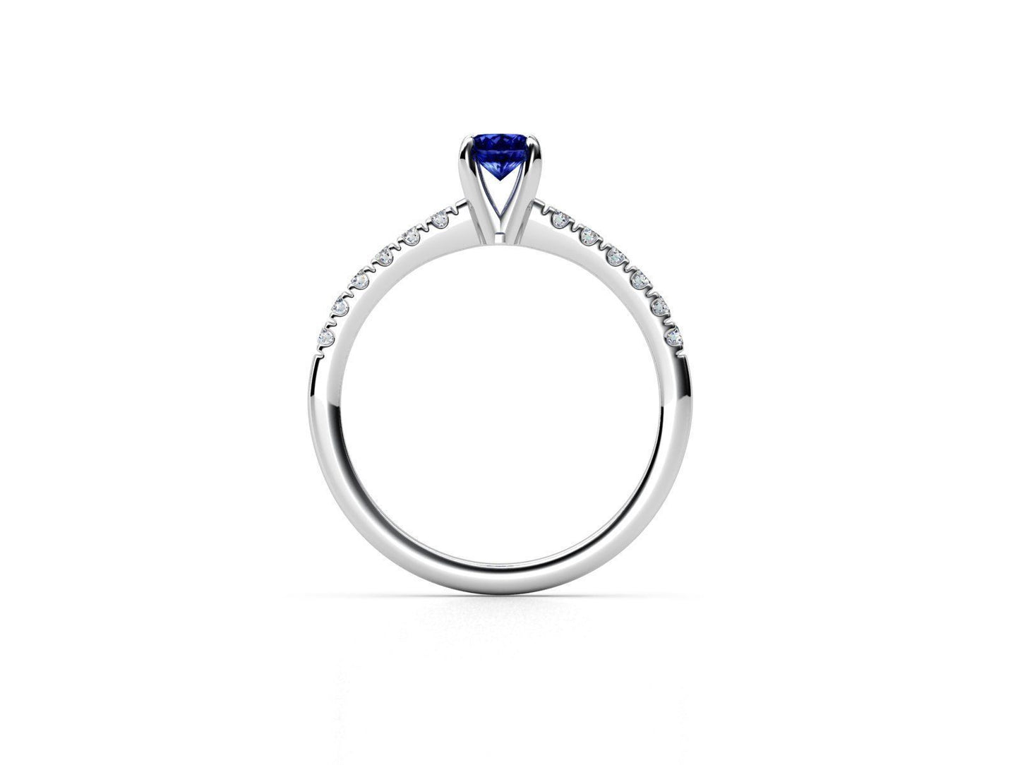 Notte Blu Ring