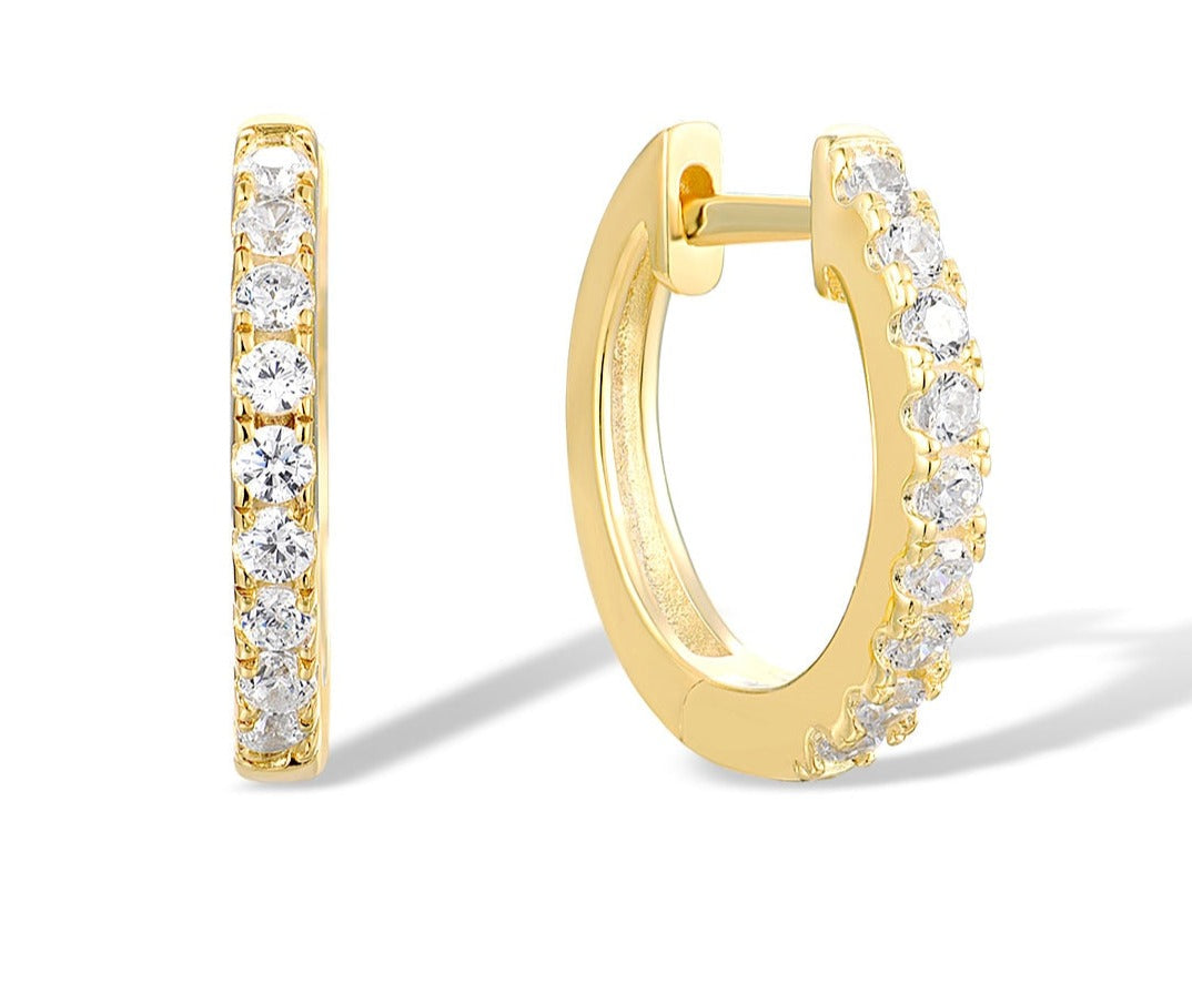 Elegant Hoop earrings