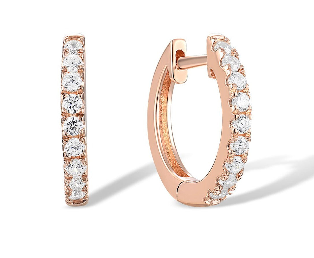 Elegant Hoop earrings